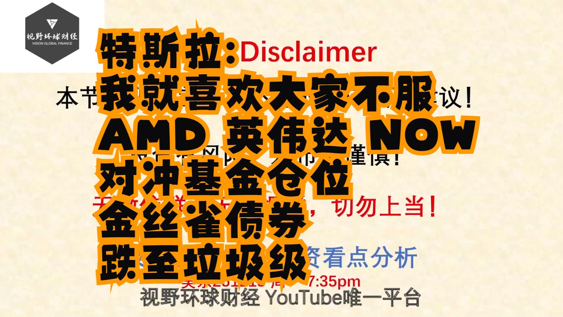 【视野环球财经】20251215美股 TSLA：我就喜欢大家不服！对冲基金仓位变化！AMD、NVDA！NOW大幅回吐回